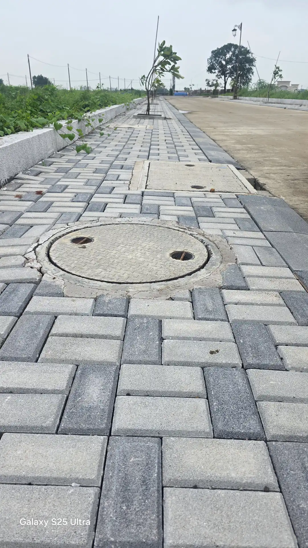 Drainage Cover
